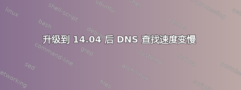 升级到 14.04 后 DNS 查找速度变慢