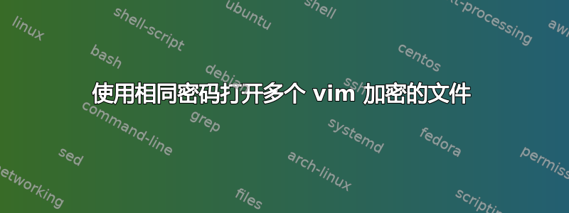 使用相同密码打开多个 vim 加密的文件