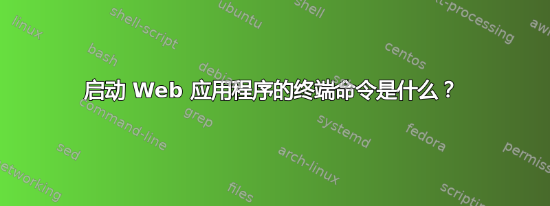 启动 Web 应用程序的终端命令是什么？