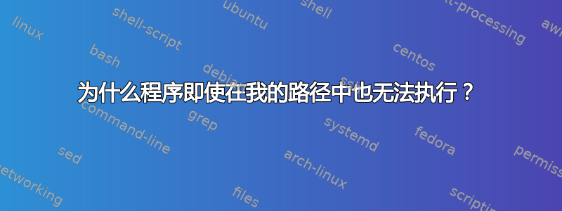 为什么程序即使在我的路径中也无法执行？