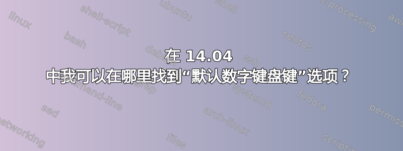 在 14.04 中我可以在哪里找到“默认数字键盘键”选项？