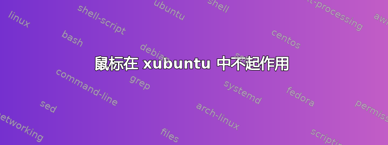 鼠标在 xubuntu 中不起作用