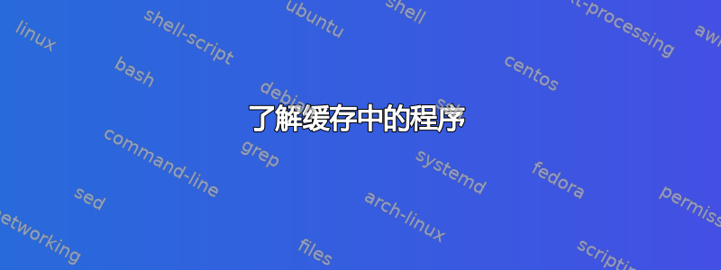 了解缓存中的程序