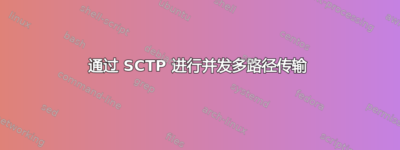 通过 SCTP 进行并发多路径传输