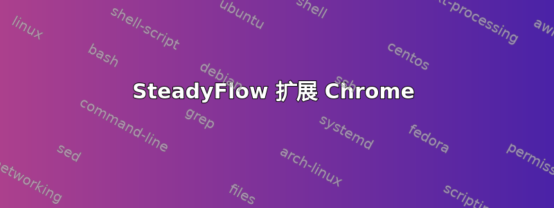 SteadyFlow 扩展 Chrome