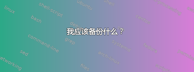 我应该备份什么？