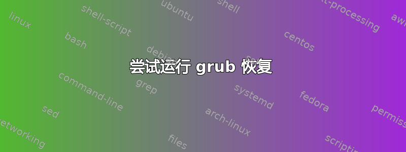 尝试运行 grub 恢复