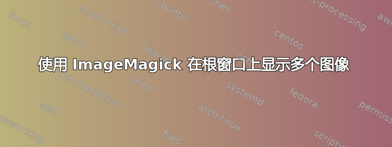 使用 ImageMagick 在根窗口上显示多个图像