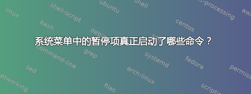 系统菜单中的暂停项真正启动了哪些命令？