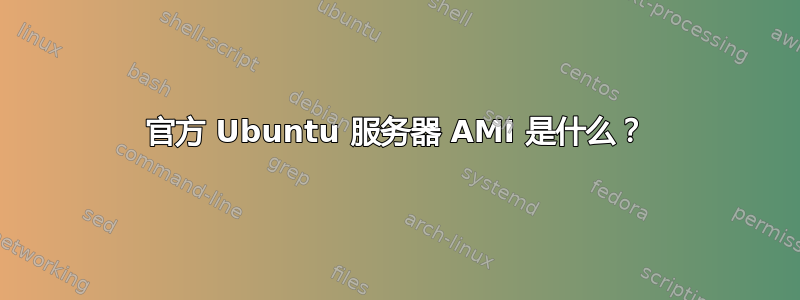 官方 Ubuntu 服务器 AMI 是什么？