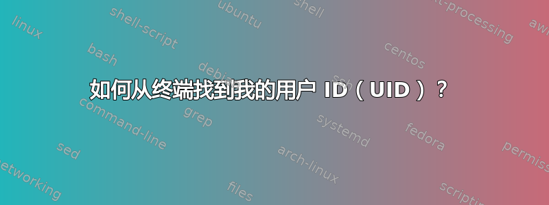 如何从终端找到我的用户 ID（UID）？