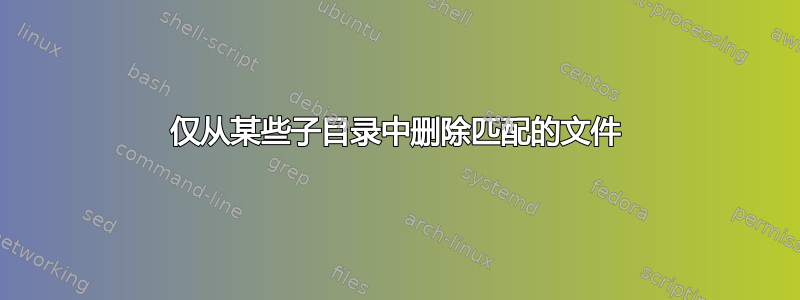 仅从某些子目录中删除匹配的文件