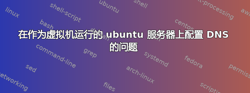 在作为虚拟机运行的 ubuntu 服务器上配置 DNS 的问题