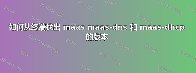 如何从终端找出 maas maas-dns 和 maas-dhcp 的版本