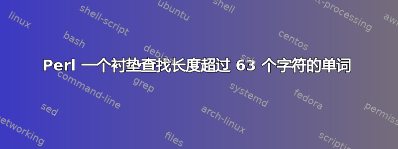 Perl 一个衬垫查找长度超过 63 个字符的单词