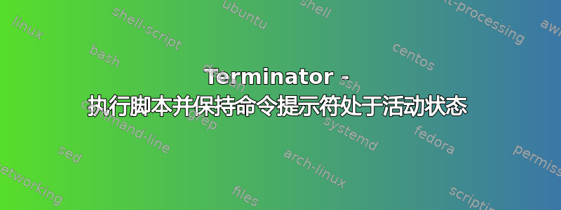 Terminator - 执行脚本并保持命令提示符处于活动状态