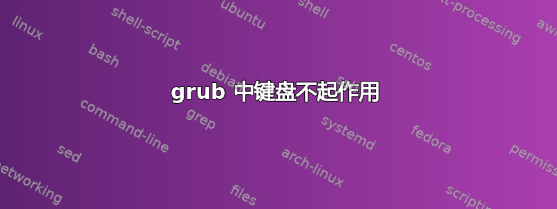 grub 中键盘不起作用