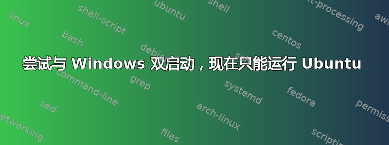 尝试与 Windows 双启动，现在只能运行 Ubuntu