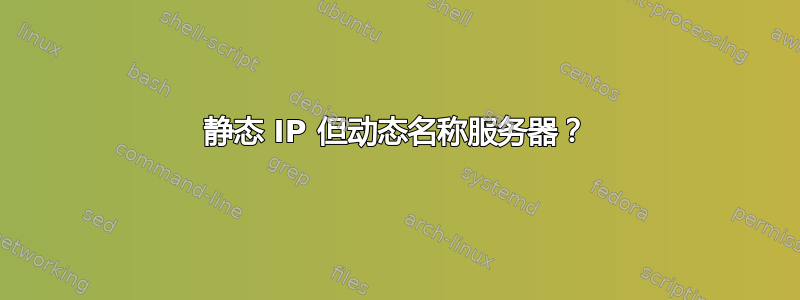 静态 IP 但动态名称服务器？