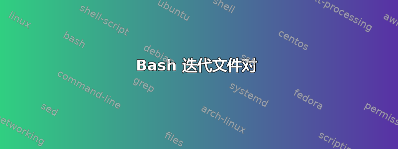 Bash 迭代文件对