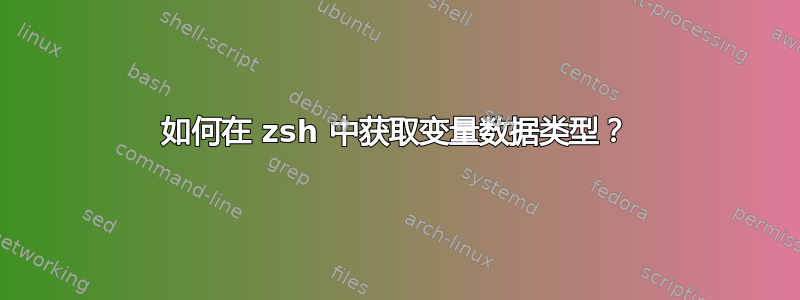 如何在 zsh 中获取变量数据类型？