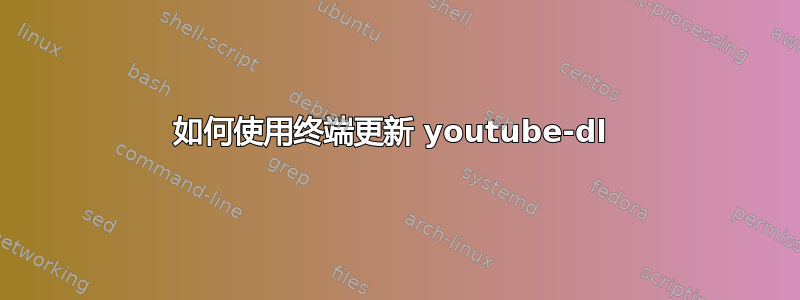 如何使用终端更新 youtube-dl 