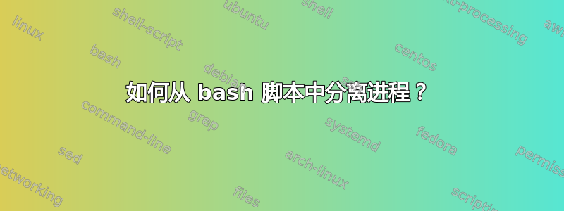 如何从 bash 脚本中分离进程？