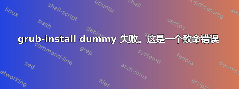 grub-install dummy 失败。这是一个致命错误