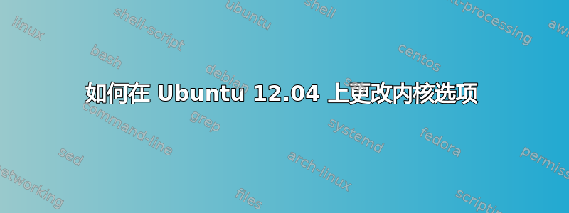 如何在 Ubuntu 12.04 上更改内核选项