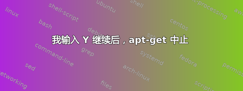 我输入 Y 继续后，apt-get 中止