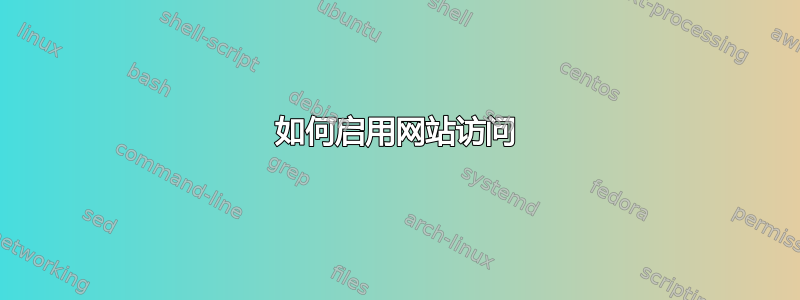 如何启用网站访问