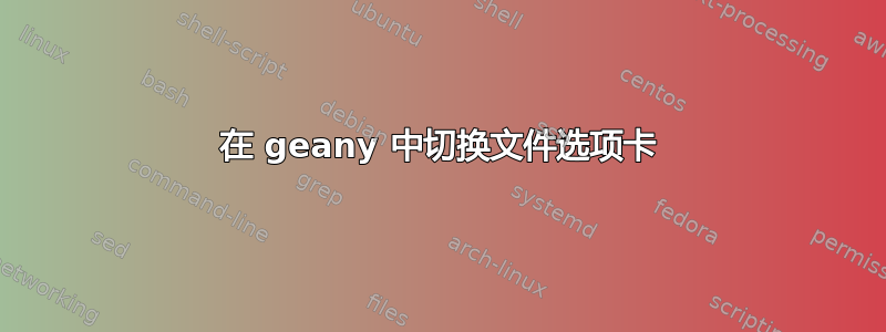 在 geany 中切换文件选项卡