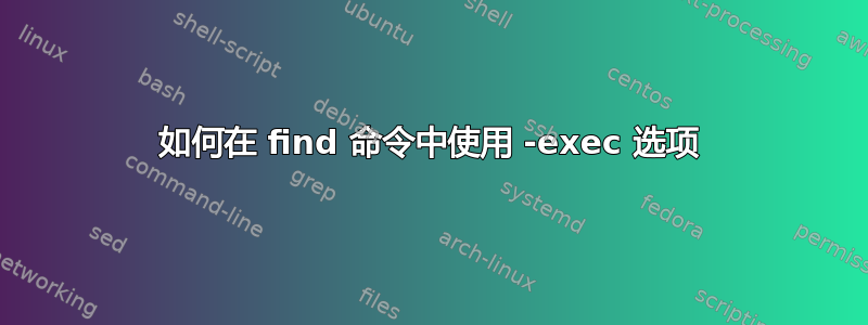 如何在 find 命令中使用 -exec 选项