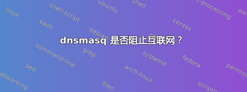 dnsmasq 是否阻止互联网？