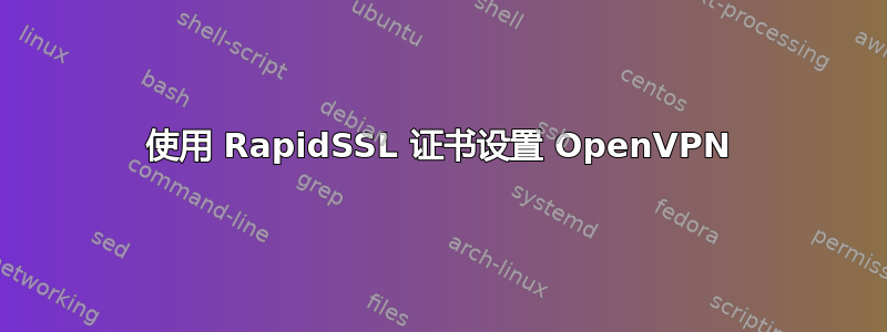 使用 RapidSSL 证书设置 OpenVPN