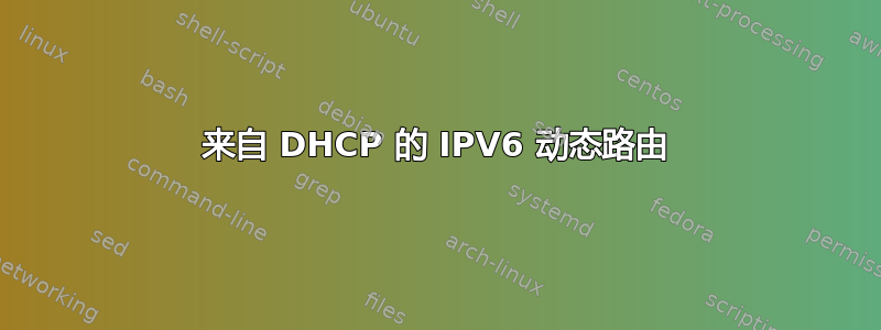 来自 DHCP 的 IPV6 动态路由