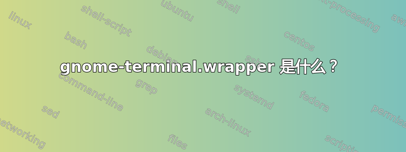 gnome-terminal.wrapper 是什么？