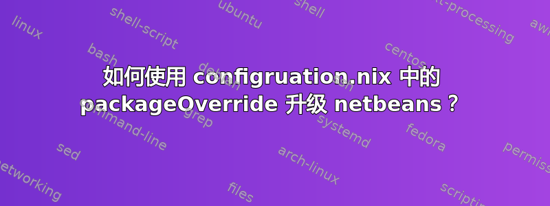 如何使用 configruation.nix 中的 packageOverride 升级 netbeans？