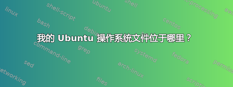 我的 Ubuntu 操作系统文件位于哪里？