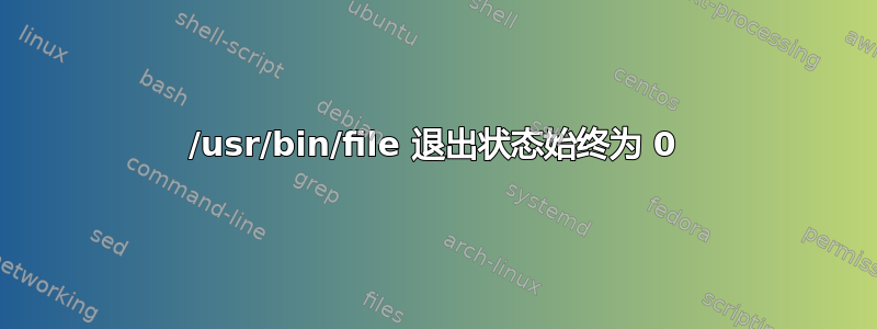 /usr/bin/file 退出状态始终为 0