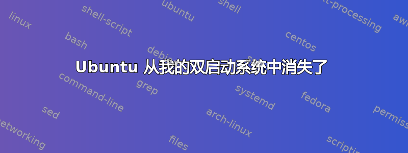 Ubuntu 从我的双启动系统中消失了