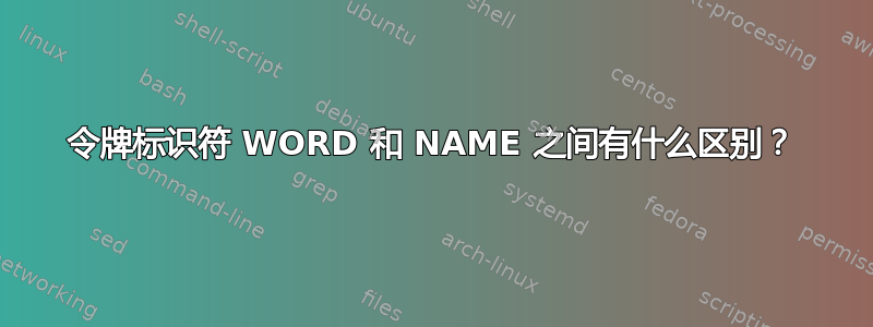 令牌标识符 WORD 和 NAME 之间有什么区别？