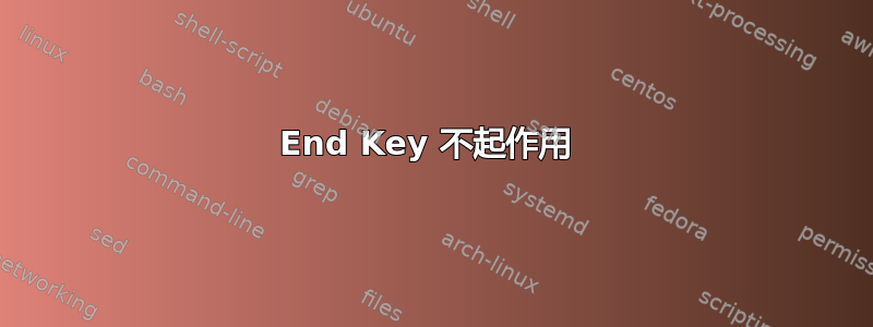 End Key 不起作用 