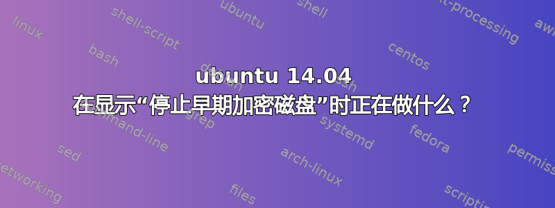 ubuntu 14.04 在显示“停止早期加密磁盘”时正在做什么？