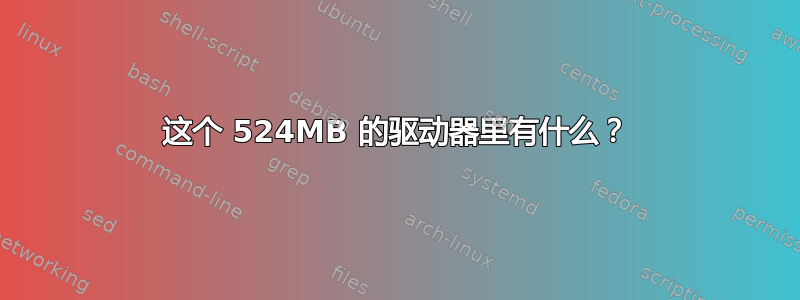 这个 524MB 的驱动器里有什么？