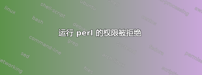 运行 perl 的权限被拒绝