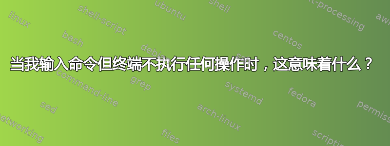 当我输入命令但终端不执行任何操作时，这意味着什么？