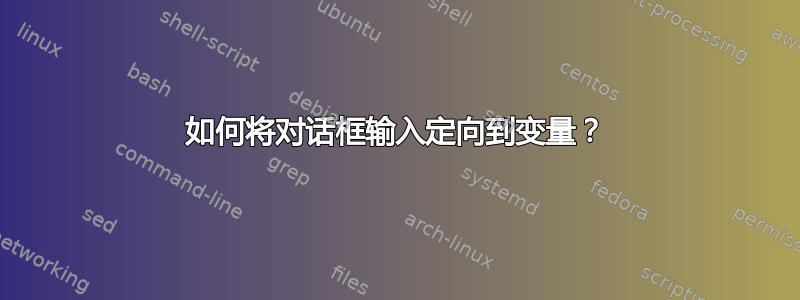 如何将对话框输入定向到变量？