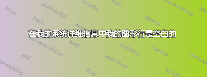 在我的系统详细信息中我的图形行是空白的