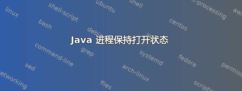 Java 进程保持打开状态